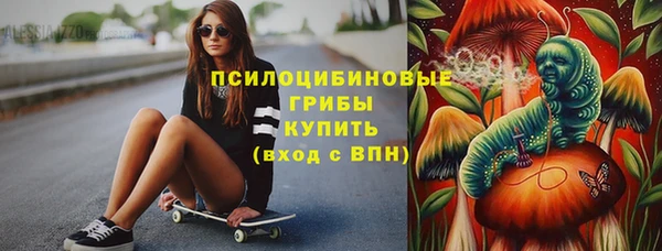 Альфа ПВП Алзамай