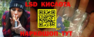 прущие грибы Кузнецк