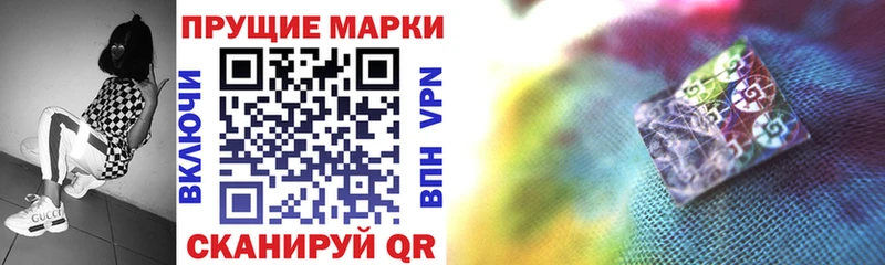 дарнет шоп  Рубцовск  Наркотические марки 1,8мг 